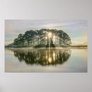 Pine Island Sunray Poster