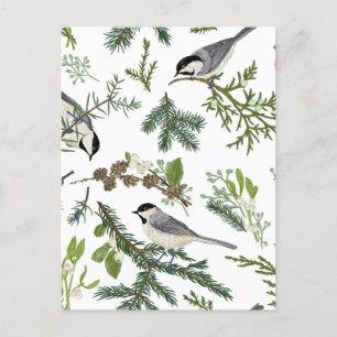 Pine leaves bird  postcard