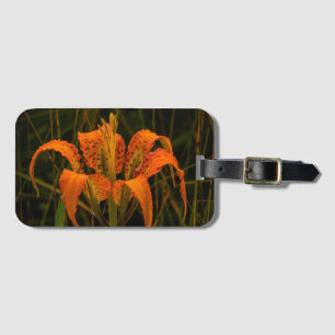 "Pine Lily" Luggage Tag
