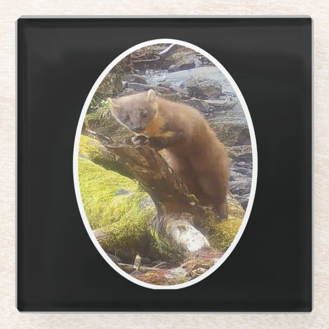 Pine Marten on Log Glass Coaster (Front)