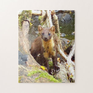 Pine Marten on Log Jigsaw Puzzle