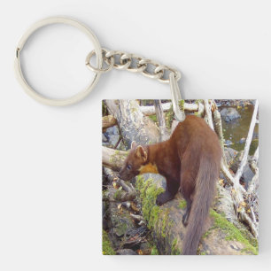 Pine Marten on Log  Key Ring