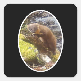 Pine Marten on Log Square Sticker