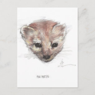 Pine Marten Postcard