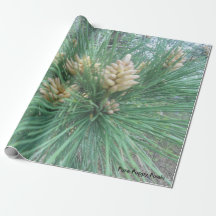Pine Needle Wrapping Paper