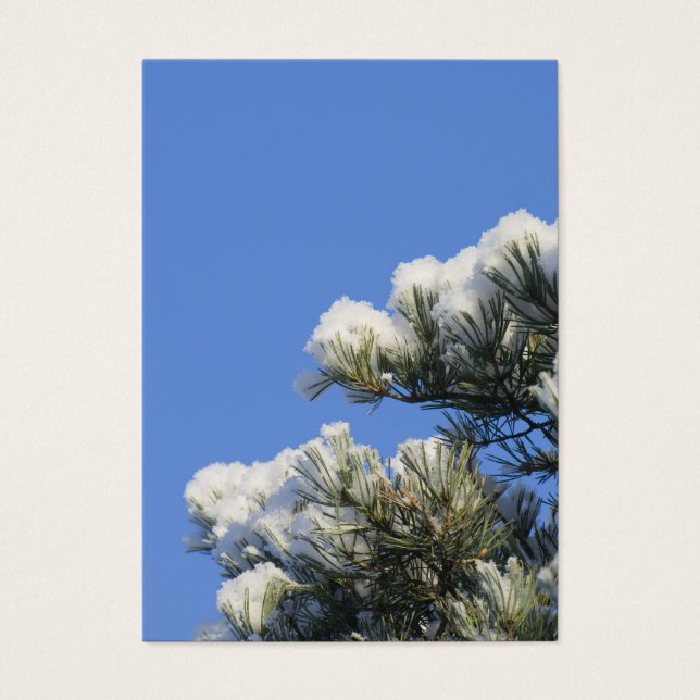 Pine needles (Front)