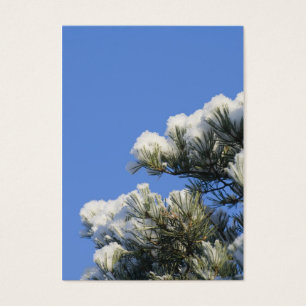 Pine needles