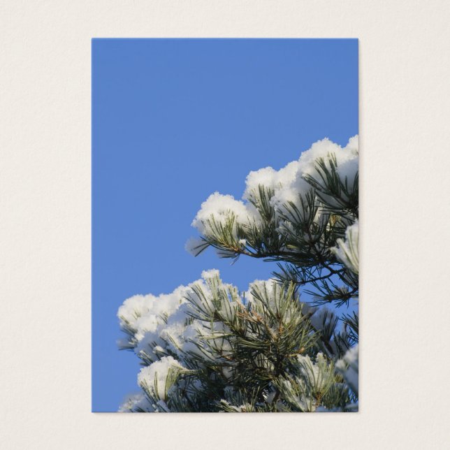 Pine needles (Front)