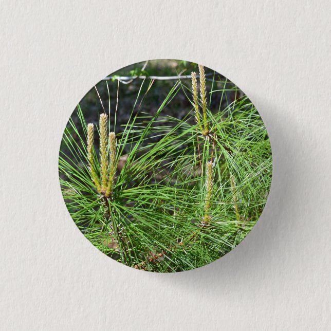 Pine Needles by Kenneth Yoncich 3 Cm Round Badge (Front)