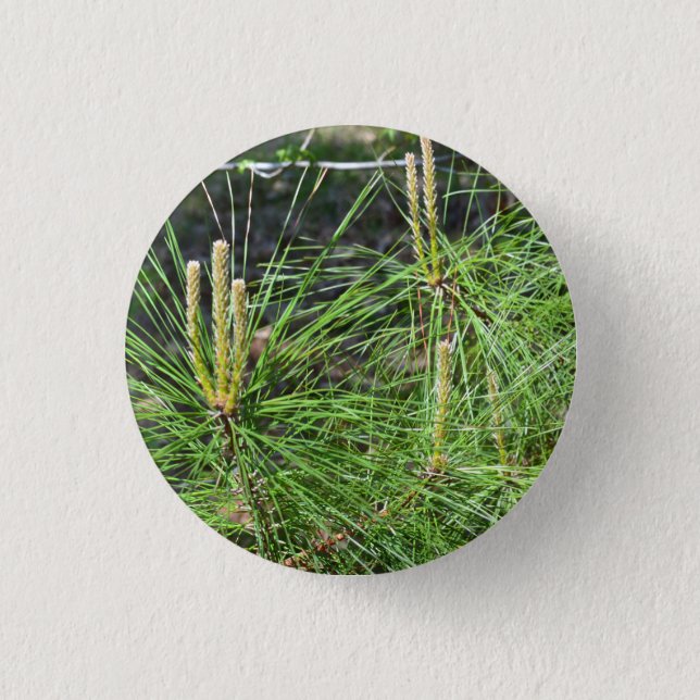 Pine Needles by Kenneth Yoncich 3 Cm Round Badge (Front)