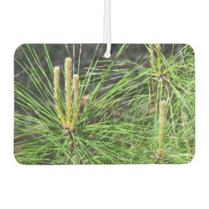 Pine Needles by Kenneth Yoncich Car Air Freshener