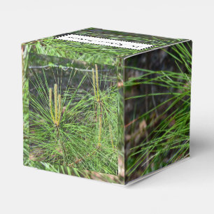Pine Needles by Kenneth Yoncich Favour Box