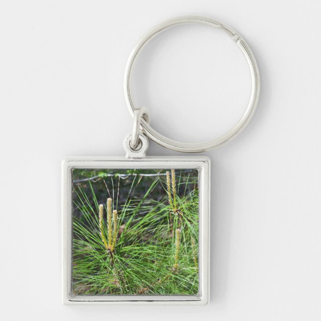 Pine Needles by Kenneth Yoncich Key Ring (Front)