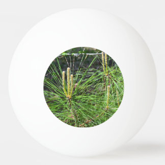 Pine Needles by Kenneth Yoncich Ping Pong Ball