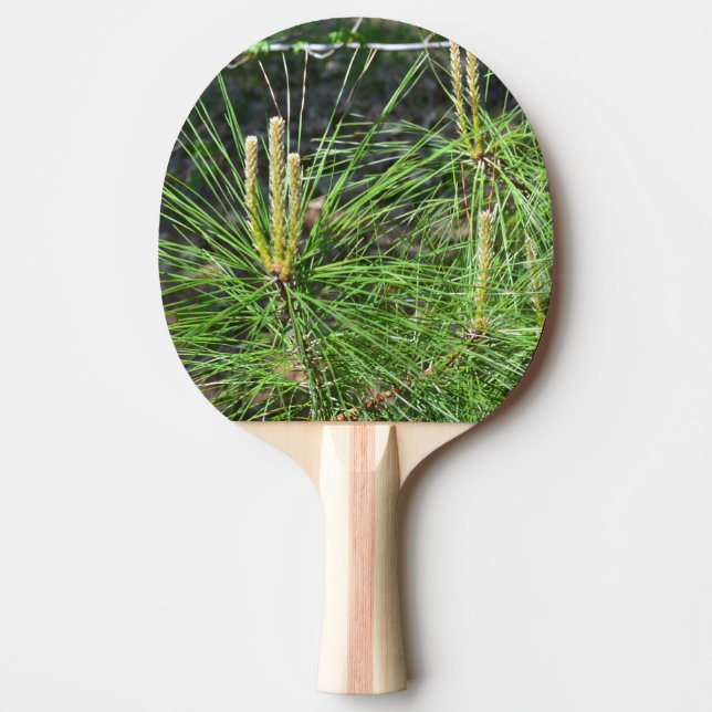 Pine Needles by Kenneth Yoncich Ping Pong Paddle (Front)