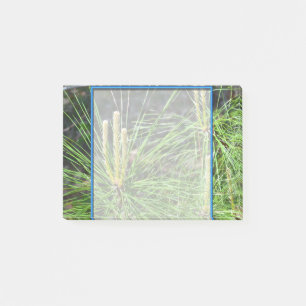Pine Needles by Kenneth Yoncich Post-it Notes