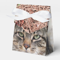 Pine Needles Favour Box