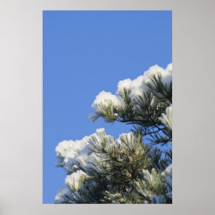 Pine needles poster