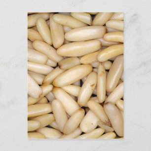 Pine Nuts - Pignole Postcard