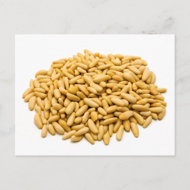 Pine nuts postcard (Front)