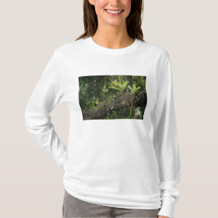 Pine Pink, Bletia purpurea, blooming on Mango T-Shirt