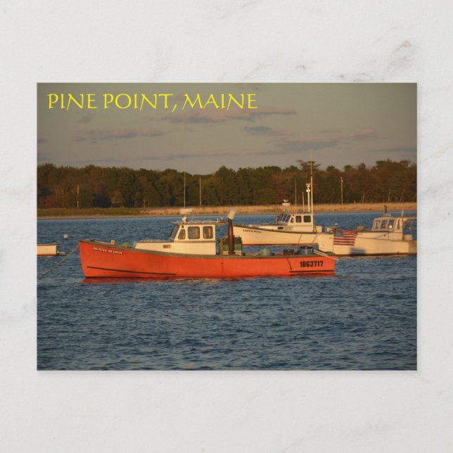 Pine Point, Maine Postcard (Front)