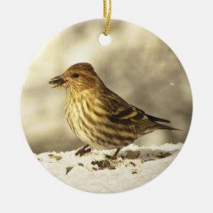 Pine Siskin Ceramic Ornament