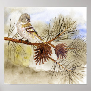 Pine SiskinArt Poster