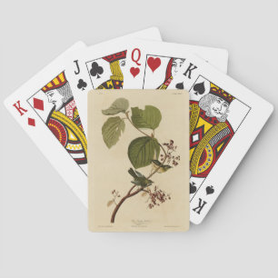 Pine Swamp Warbler from Audubon's Birds of America Playing Cards