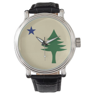 Pine tree and star 1901 flag of Maine State Watch