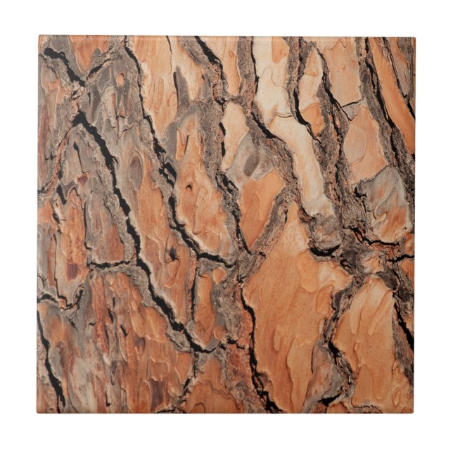 Pine Tree Bark Texture Ceramic Tile (Front)