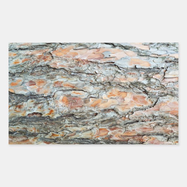 pine tree bark texture nature pattern background p rectangular sticker (Front)