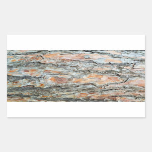 pine tree bark texture nature pattern background p rectangular sticker
