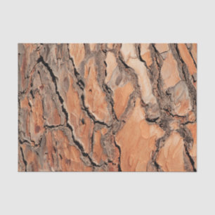 Pine Tree Bark Texture Tissue Paper