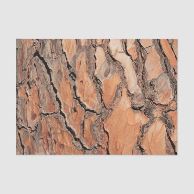Pine Tree Bark Texture Tissue Paper (Front)