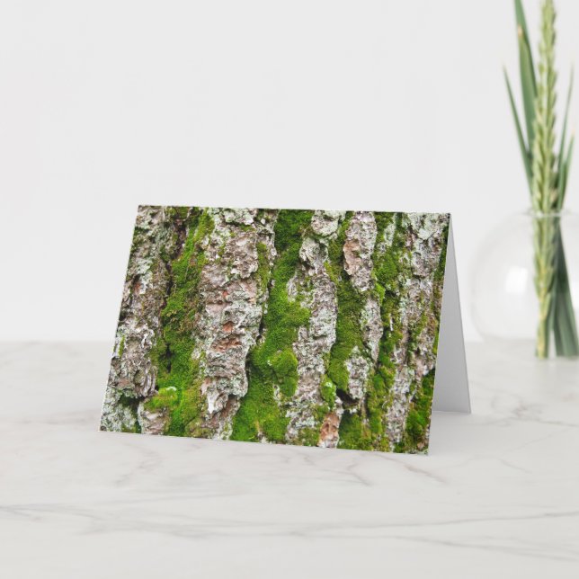 Pine Tree Bark With Moss Card (Front)