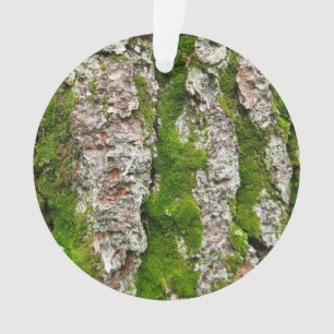 Pine Tree Bark With Moss Ornament
