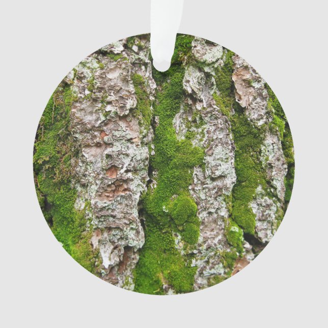 Pine Tree Bark With Moss Ornament (Front)