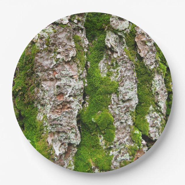 Pine Tree Bark With Moss Paper Plate (Front)