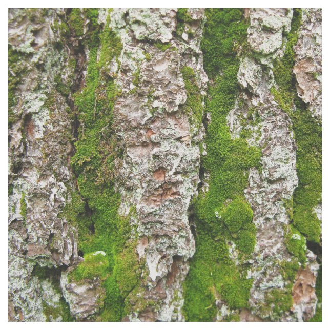 Pine Tree Bark With Moss Photo Fabric (Swatch)