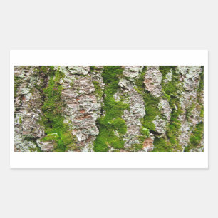 Pine Tree Bark With Moss Rectangular Sticker