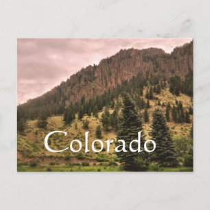 pine tree beauty, Colorado Postcard
