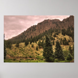 pine tree beauty print