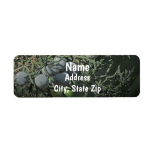 Pine Tree Berries Nature Photo Rustic Address Return Address Label