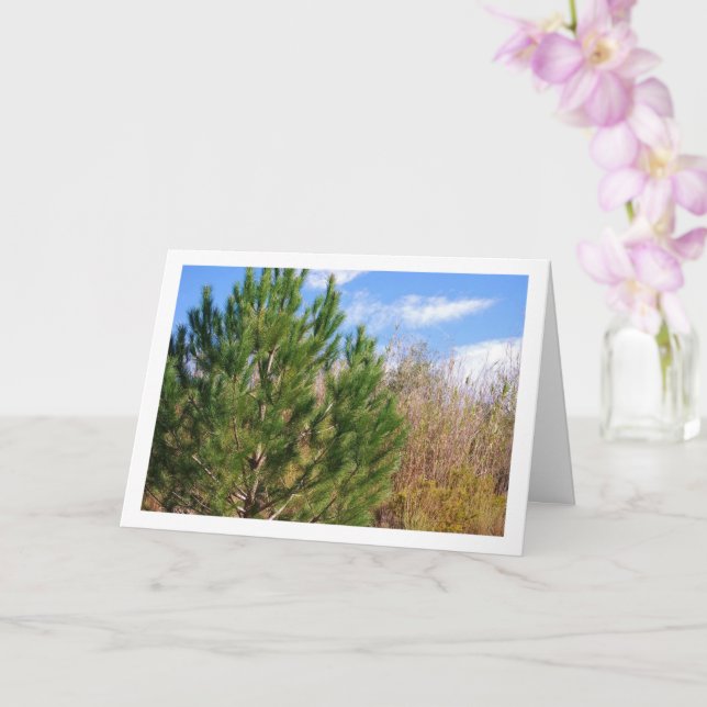 Pine Tree, Blue Sky Portrait Card (Orchid)