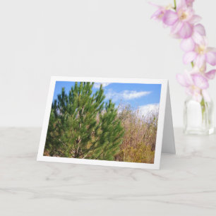 Pine Tree, Blue Sky Portrait Card