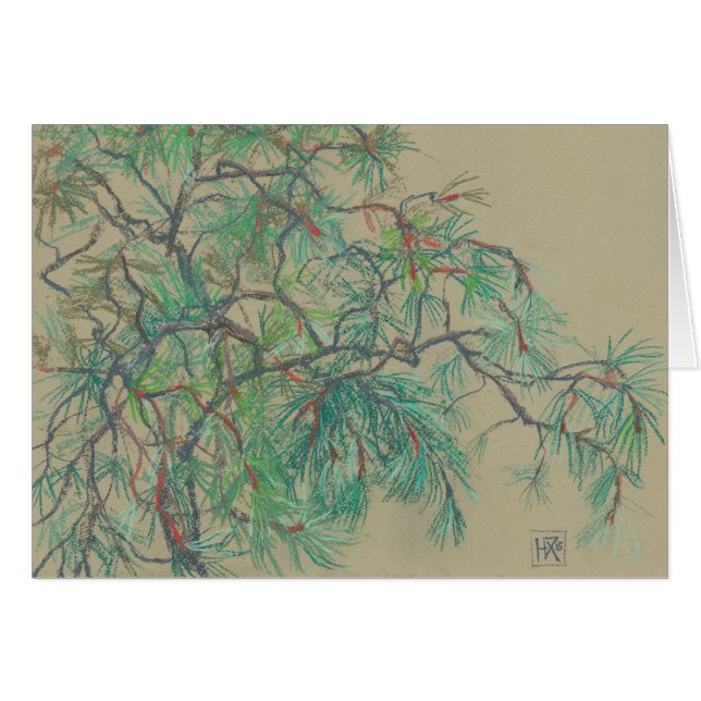 Pine Tree Branch, Botanical Floral Pastel Drawing (Front Horizontal)