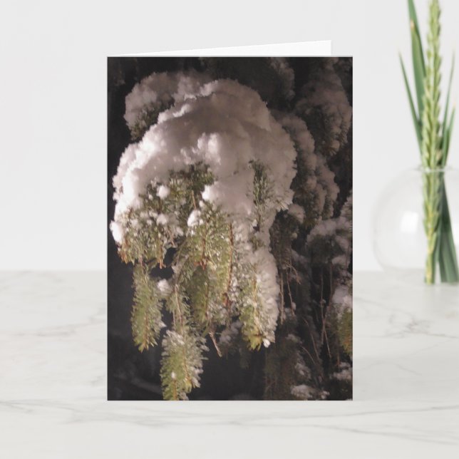 Pine Tree Branch Covered in Snow Blank Holiday Card (Front)