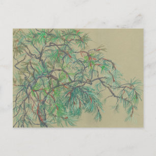 Pine-Tree Branch, Floral Art Northern Botany Green Postcard