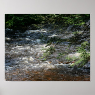 Pine Tree Branches Over Rapids In Stream Orton Poster